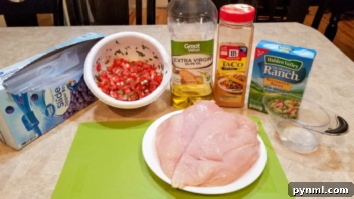 Shredded Crockpot Taco Chicken 3 Shredded chicken and vibrant salsa simmering in a slow cooker, ready to be served as delicious taco meat.