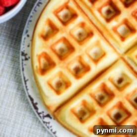 A homemade waffle served on a speckled plate is shown next to a bowl of raspberries.