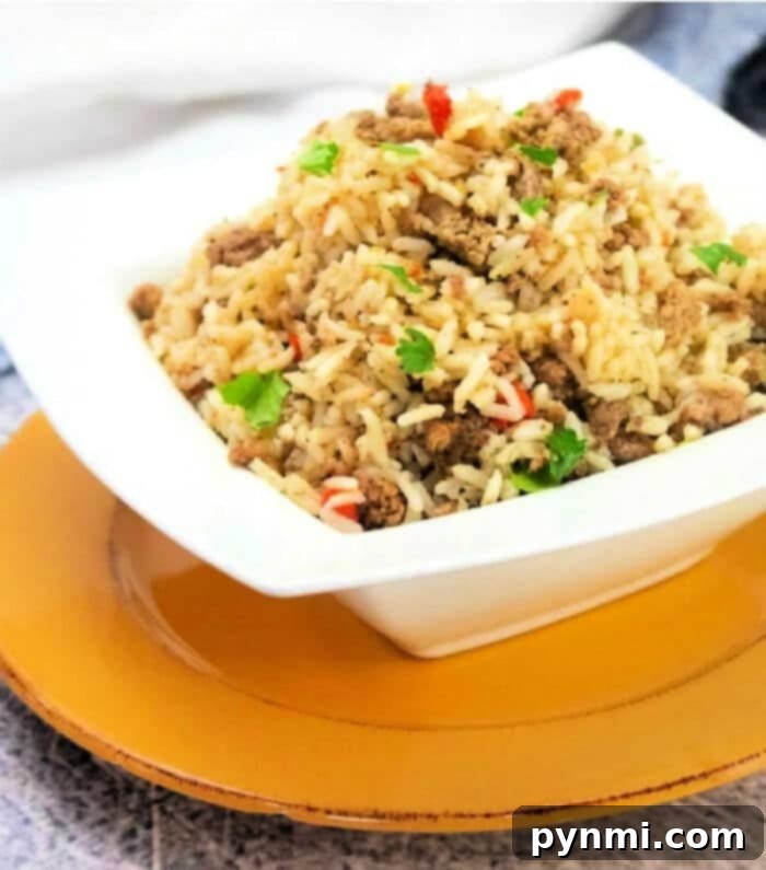 Effortless Instant Pot Ground Beef and Rice Dinner 2 Instant Pot dirty rice, a delicious and easy one-pot meal