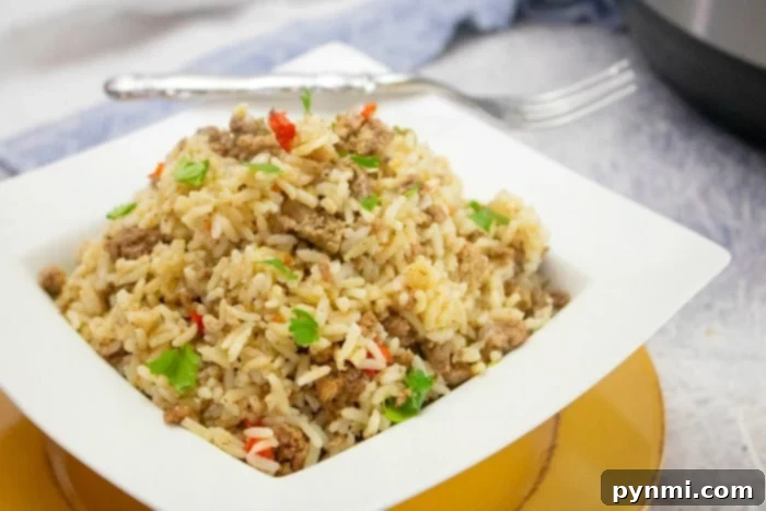 Effortless Instant Pot Ground Beef and Rice Dinner 10 A collection of easy Instant Pot recipes, perfect for quick and delicious meals