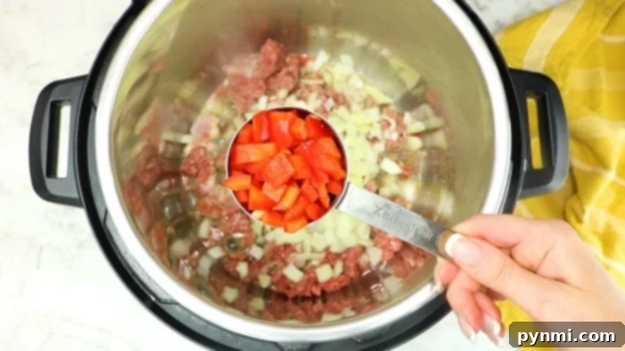 Effortless Instant Pot Ground Beef and Rice Dinner 5 A close-up of delicious Instant Pot Ground Beef and Rice, ready to be served