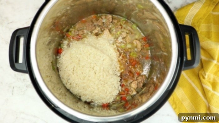 Effortless Instant Pot Ground Beef and Rice Dinner 6 Instant Pot Ground Beef and Rice served in a bowl with a pressure cooker in the background