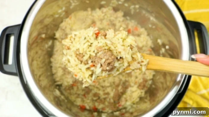 Effortless Instant Pot Ground Beef and Rice Dinner 7 Easy Instant Pot dirty rice recipe cooked to perfection, ready to eat