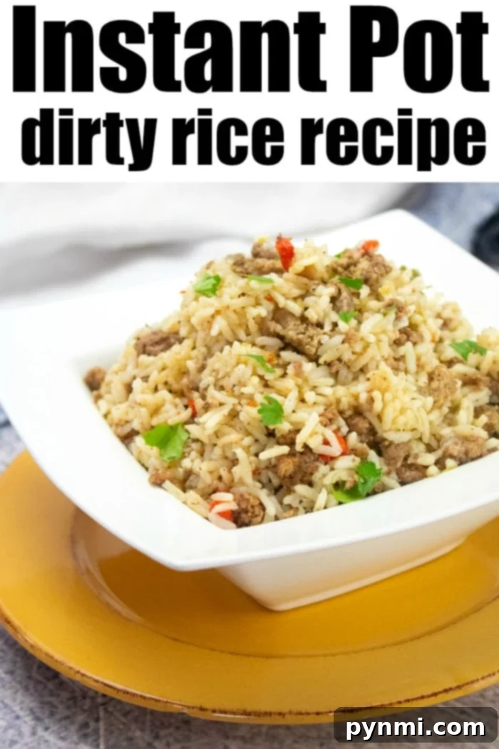 Instant Pot ground beef and rice is a hearty meal sometimes called dirty rice. Served as a side dish or dinner, it's great with ground sausage too. Instant Pot dirty rice, garnished with fresh green onions