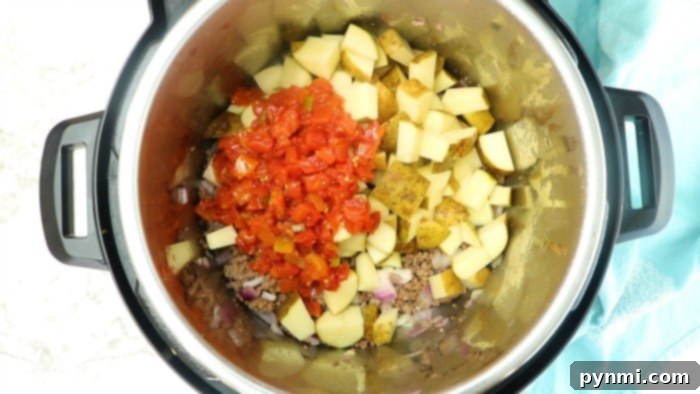 Hearty Instant Pot Hamburger Soup 3 Delicious Hamburger Soup