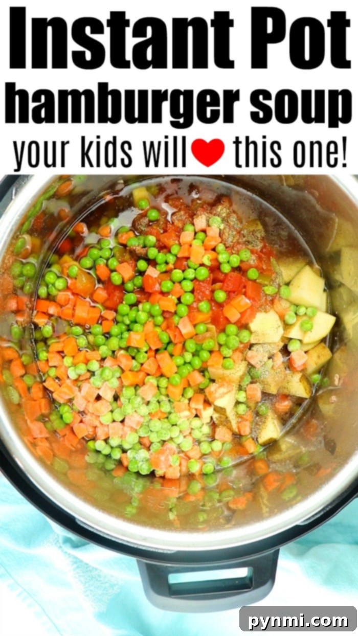 Easy Instant Pot hamburger soup recipe with vegetables, potatoes and more! A healthy protein packed pressure cooker soup with ground beef we love is here! Instant Pot Ground Beef Soup
