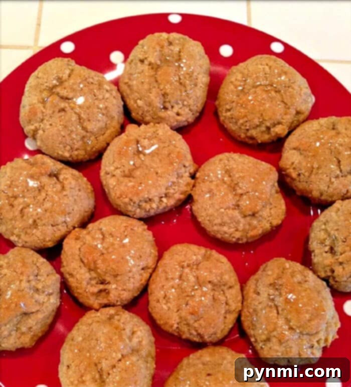 Delicious Lebkuchen cookies on a serving plate, dusted with powdered sugar.