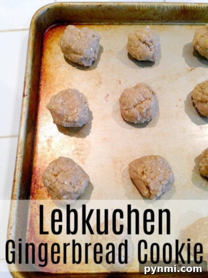 Unbaked Lebkuchen cookies arranged on a metal baking sheet, labeled Gingerbread Cookie.
