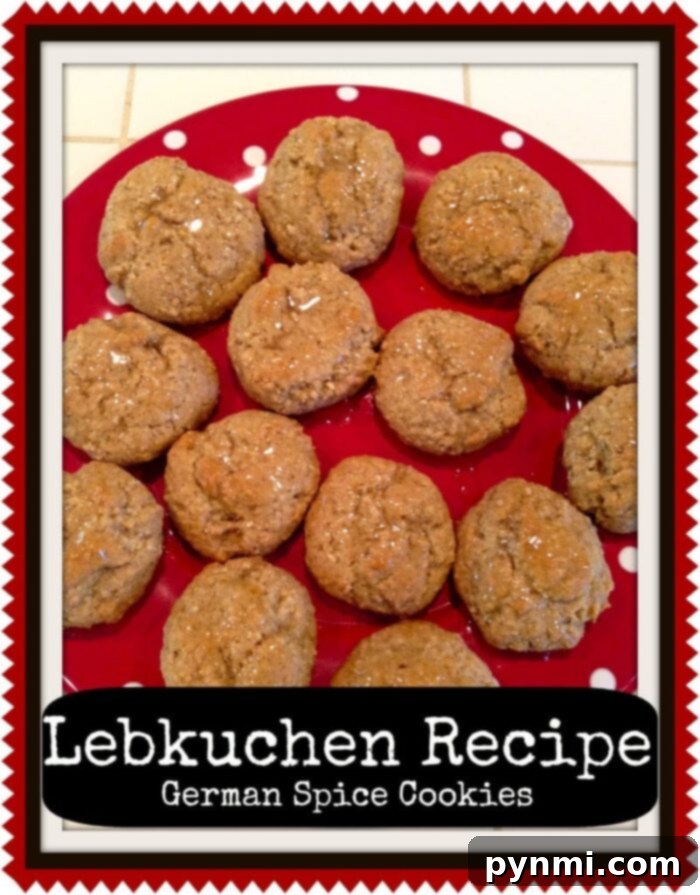 Assortment of festive German Christmas cookies, including Lebkuchen, on a decorated platter.