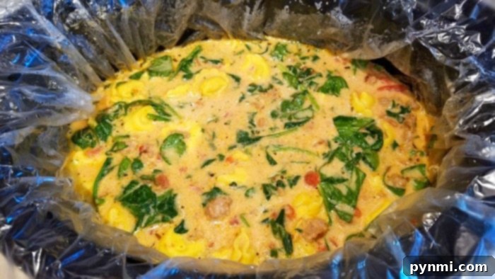 Comforting Crockpot Tortellini Soup 7 A bowl of creamy Crockpot spinach tortellini soup, topped with fresh basil.