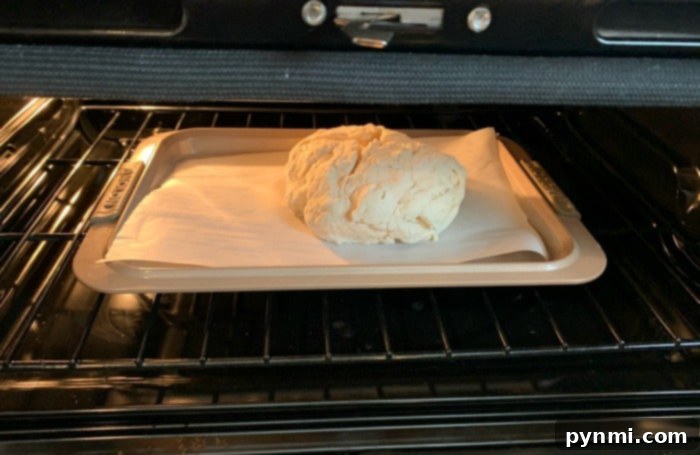 A golden-brown loaf of freshly baked no-yeast bread cooling on a wire rack after being removed from the oven.