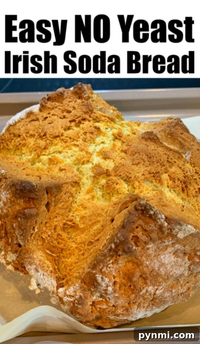 Easy Irish soda bread recipe you can make with no yeast or kneading required. Great flavor to serve during St. Patricks Day or year round with dinner. A slice taken out to show its texture.