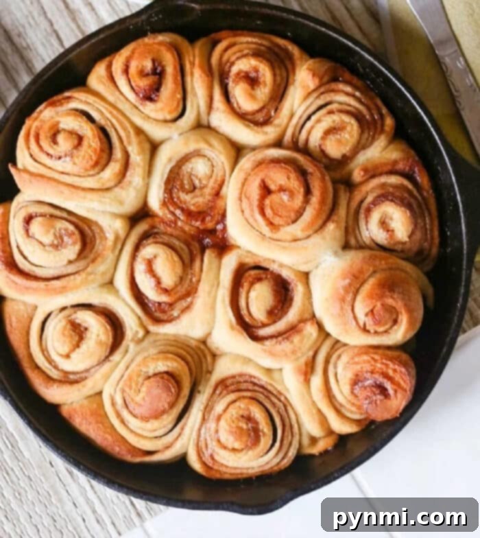 No-Waste Sourdough Cinnamon Rolls 8 A warm, golden-brown cinnamon roll, freshly baked using a no-yeast sourdough recipe, resting on a wooden surface.