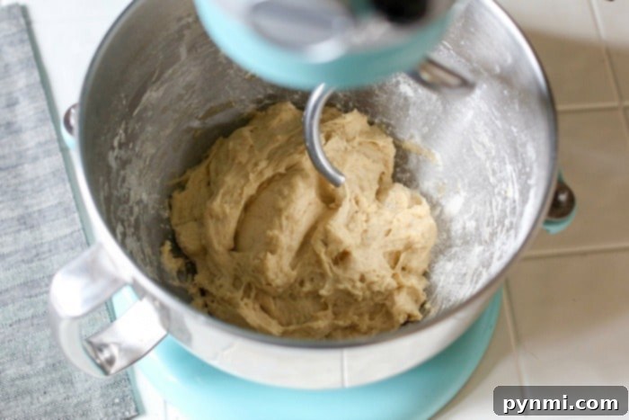 No-Waste Sourdough Cinnamon Rolls 4 Smooth, well-kneaded cinnamon roll dough resting in a bowl, prepared for its overnight rise, signaling the start of a delicious no-yeast recipe.