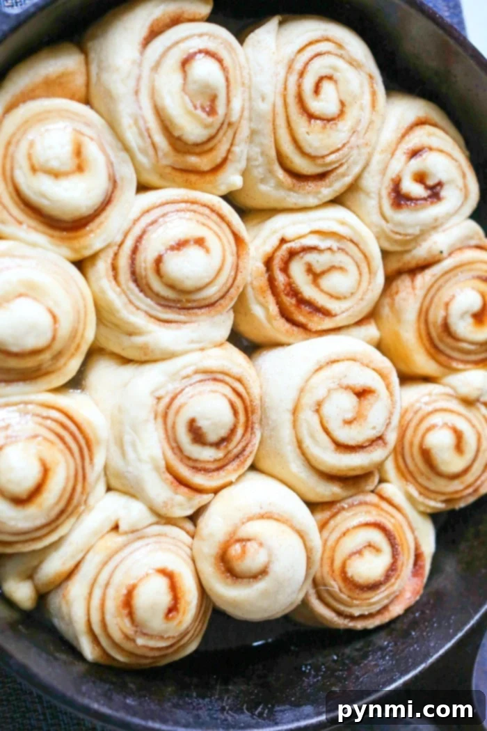 NO yeast cinnamon roll recipe is amazing! Using a sourdough starter these overnight rolls turn out fluffy and baked to perfection. Perfect treat A pan of freshly baked, golden-brown homemade cinnamon rolls, ready to be frosted, emphasizing their fluffy texture achieved without yeast.