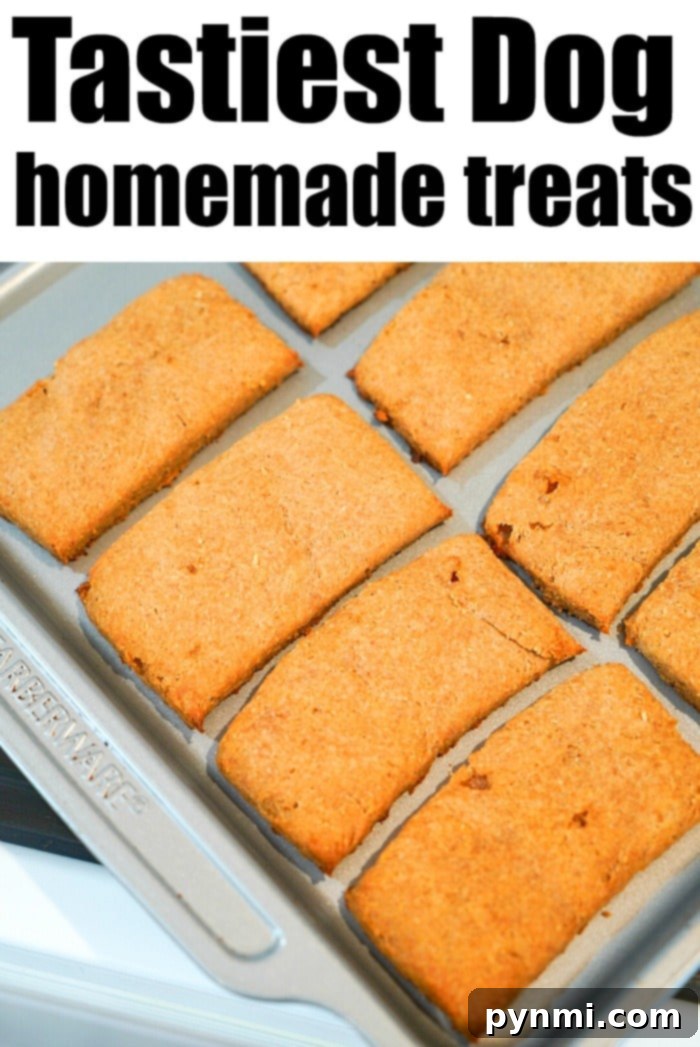Best homemade dog biscuits made with peanut butter that your puppy will love! Takes less than 30 min and 5 ingredients. A loving shot of a dog looking at homemade treats, emphasizing the joy of making them