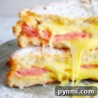 An Air Fryer Monte Cristo Sandwich, stacked with ham and cheese, is perfectly dusted with powdered sugar and served on a plate.