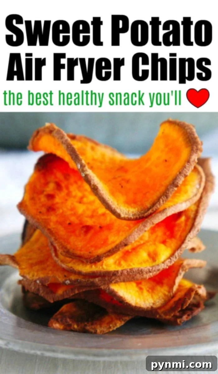 A bowl of delicious air fryer potato chips, perfect for a healthy snack.