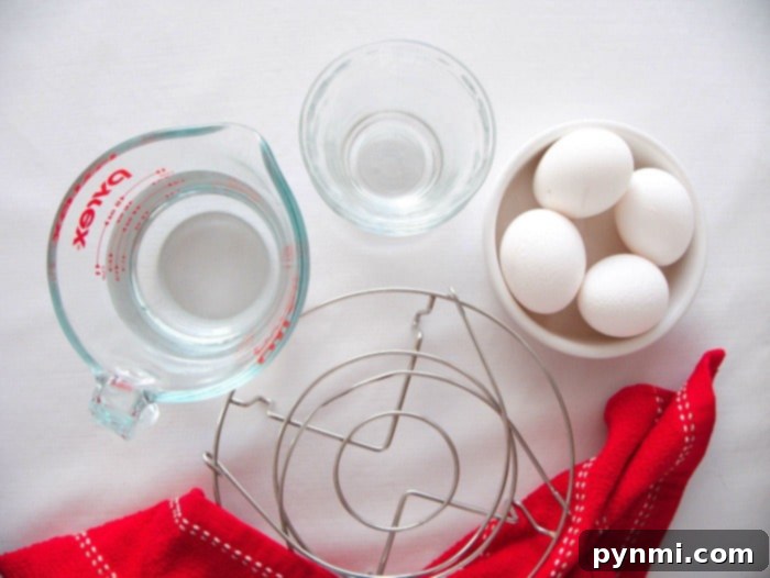 Ingredients laid out for Instant Pot eggs.