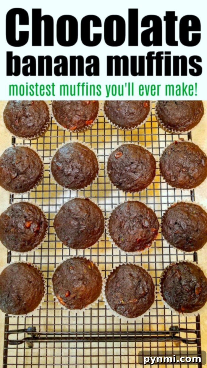 Two freshly baked chocolate banana zucchini muffins on a cooling rack, showcasing their fluffy texture and chocolate chips.