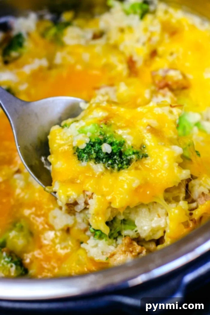 Instant Pot One-Pot Chicken Broccoli Rice 10 Instant Pot Chicken and Rice, a foundational dish