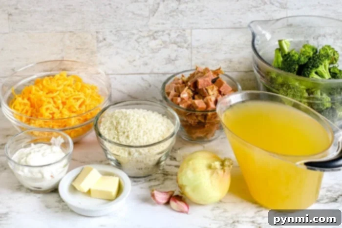 Instant Pot One-Pot Chicken Broccoli Rice 3 Instant Pot cheesy rice base before adding broccoli and chicken