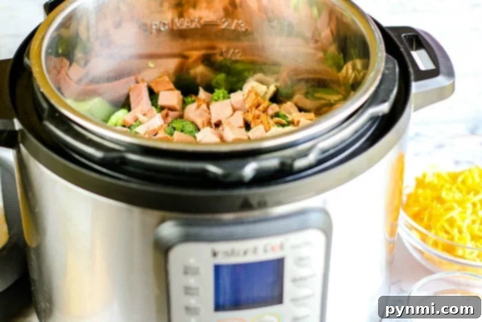 Instant Pot One-Pot Chicken Broccoli Rice 5 Instant Pot ham and rice casserole with broccoli
