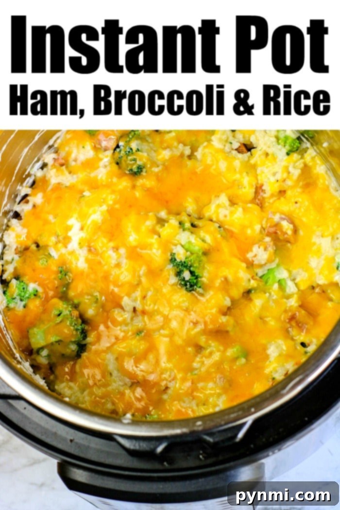 Instant Pot One-Pot Chicken Broccoli Rice 6 Instant Pot broccoli rice, highlighting the fresh florets