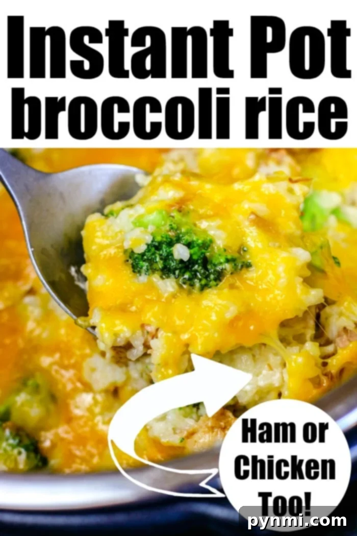 Instant Pot One-Pot Chicken Broccoli Rice 9 Instant Pot Chicken Broccoli Rice in a serving bowl
