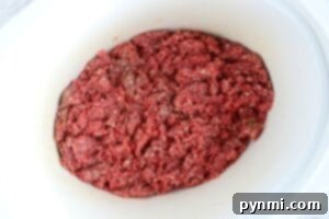 Effortless Crockpot Ground Beef Meals 7 Raw ground beef and diced onion spread in a slow cooker.