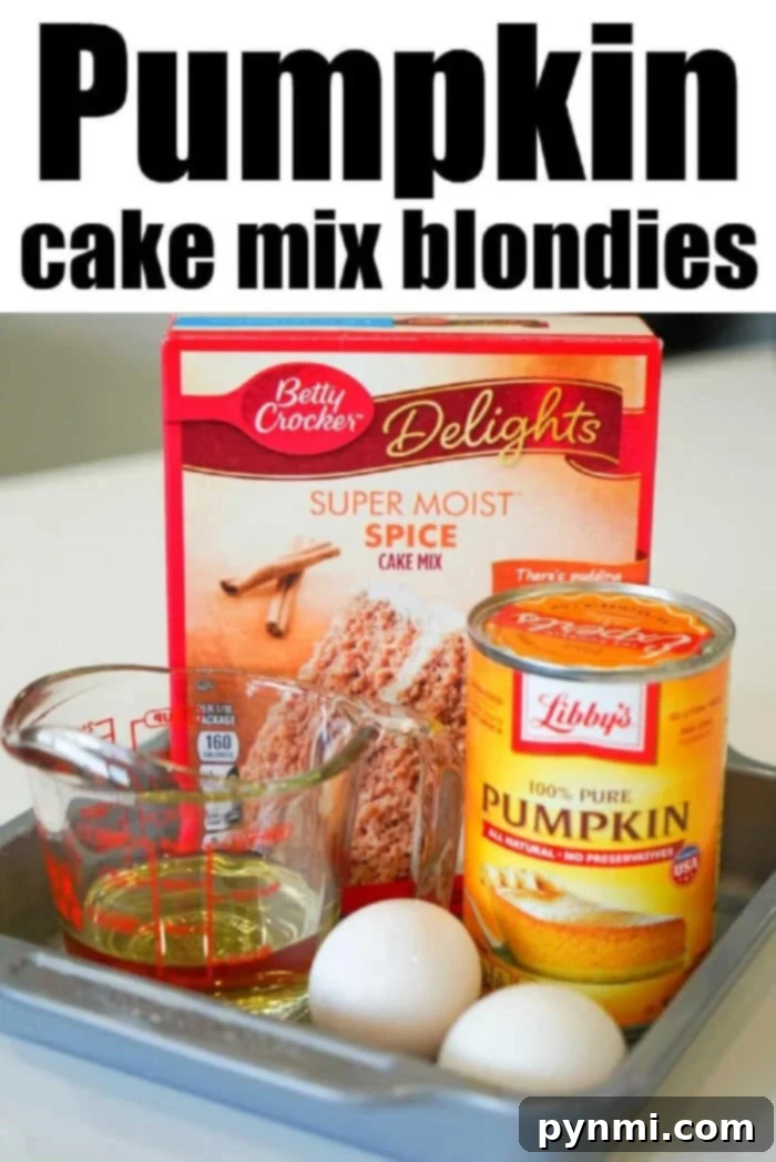 A box of spice cake mix, a can of pumpkin, two eggs, and oil come together in a pan for easy pumpkin blondies.