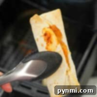 ninja foodi frozen burrito
