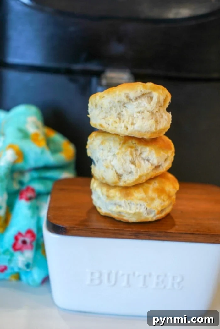 Perfect Air Fryer Frozen Biscuits 7 A batch of golden-brown Pillsbury biscuits, perfectly cooked in an air fryer.