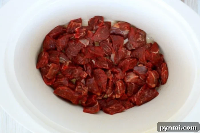 Close-up of tender beef tips ready to be served
