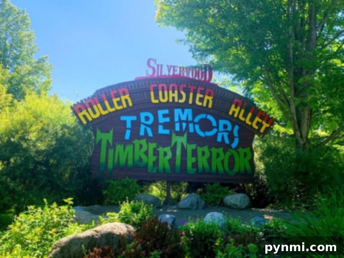 timber terror ride