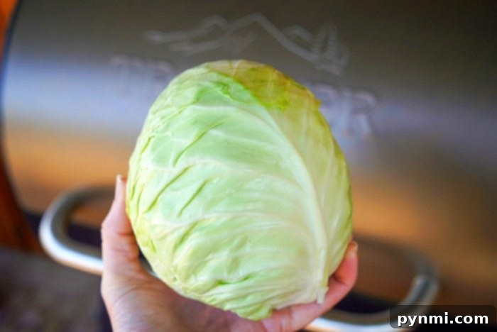 Fresh green cabbage, quartered and precisely cut, ready for preparation in the smoked sausage and cabbage recipe