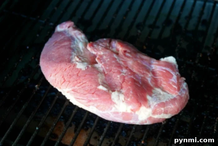 Slow-Smoked Corned Beef 5 A raw corned beef brisket on a smoker grate, ready to be infused with delicious smoky flavors.
