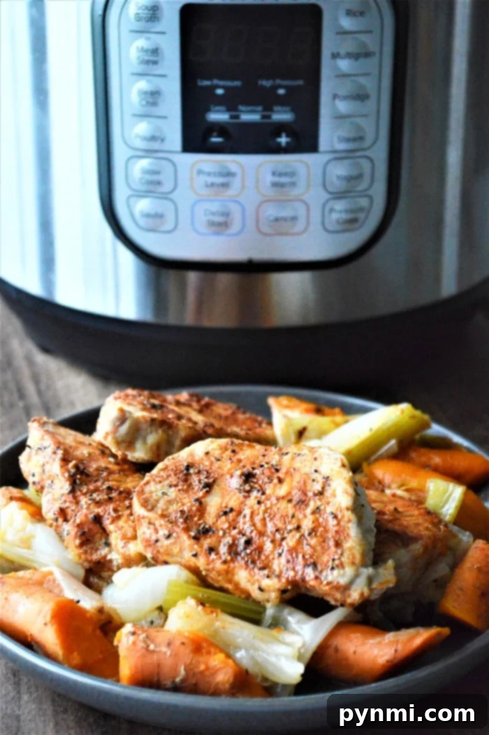 Easy Instant Pot Frozen Pork Chops 2 Instant Pot FROZEN Pork Chops