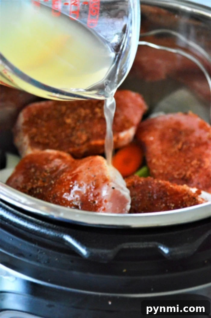 Easy Instant Pot Frozen Pork Chops 6 instant pot pork chops