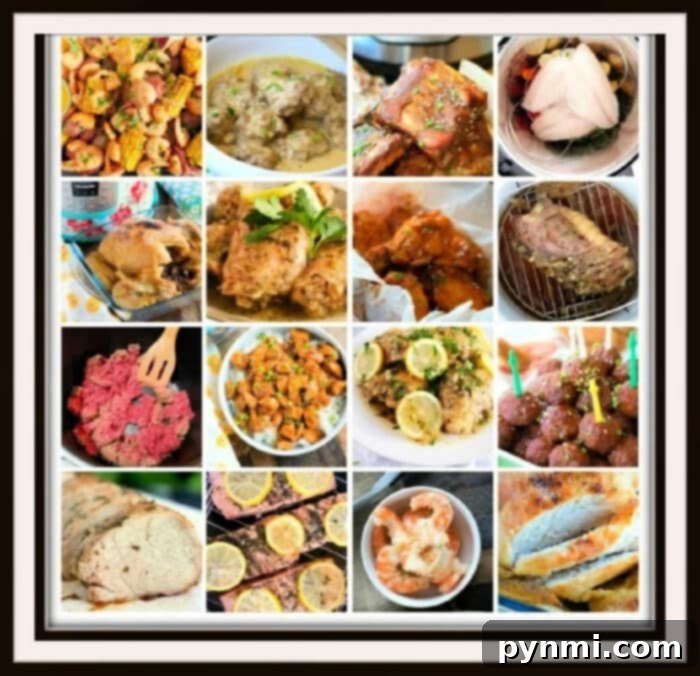 From Frozen Solid to Dinner Ready: Instant Pot Meat Magic 2 how to cook frozen meat in instant pot