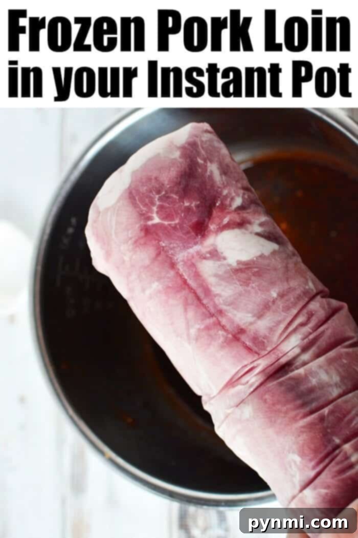 From Frozen Solid to Dinner Ready: Instant Pot Meat Magic 11 instant pot frozen pork tenderloin