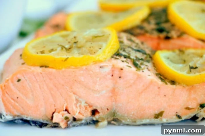 From Frozen Solid to Dinner Ready: Instant Pot Meat Magic 12 salmon recipe