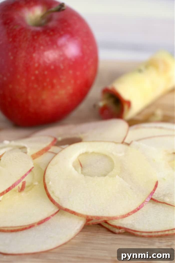 Golden Air Fried Apple Crisps 3 homemade apple chips