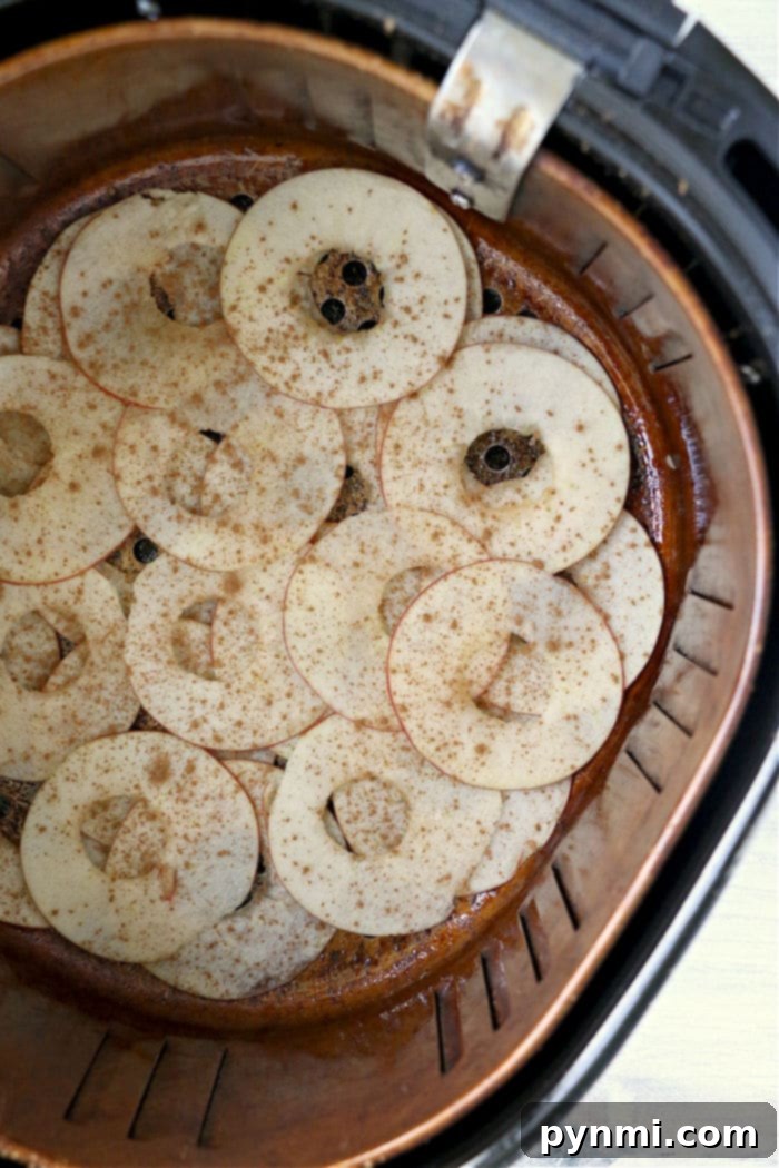 Golden Air Fried Apple Crisps 4 apple chips in air fryer