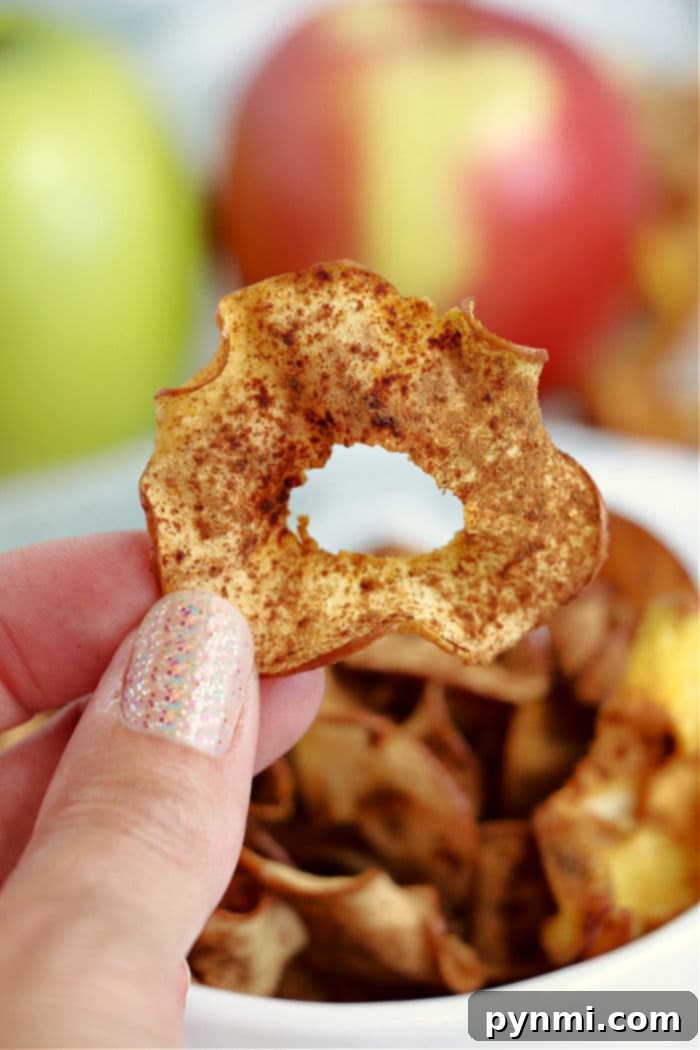 Golden Air Fried Apple Crisps 5 air fryer apple chips