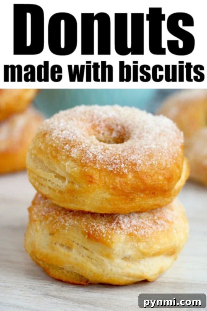 Golden Air Fryer Biscuit Donuts by Ninja 6 A variety of biscuit doughnuts, some plain, some glazed, showcasing the versatility of this easy recipe.