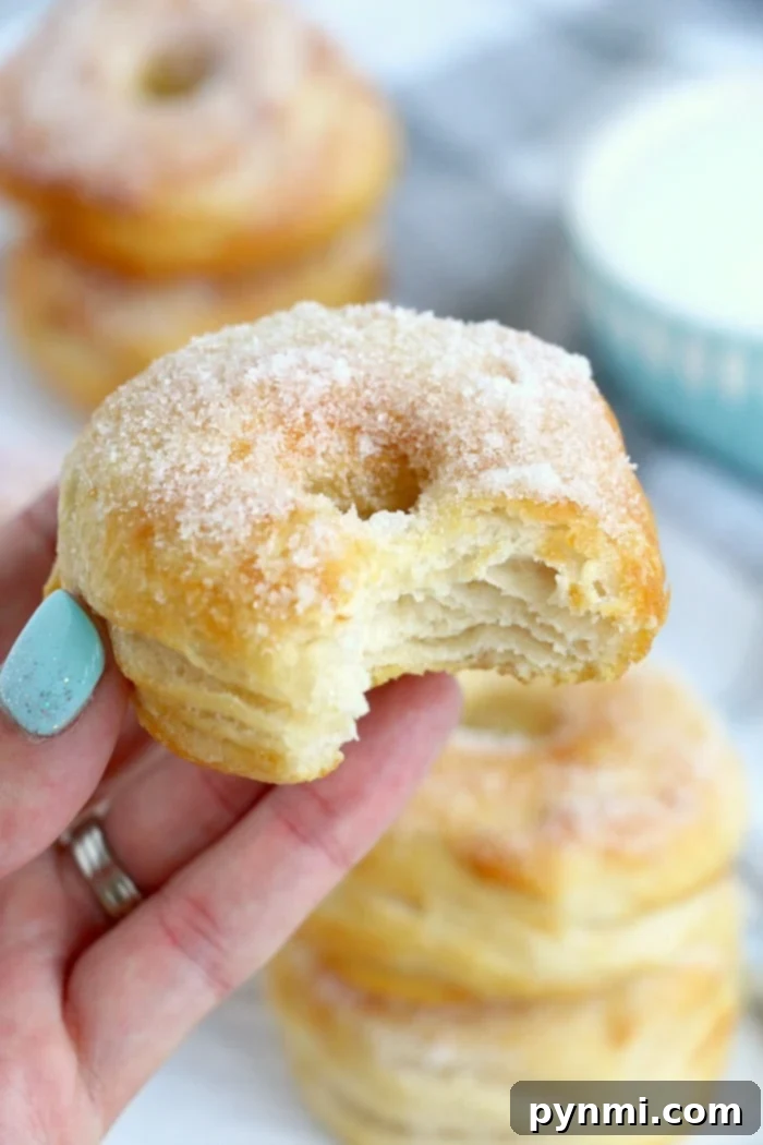 Golden Air Fryer Biscuit Donuts by Ninja 8 Easy biscuit donuts, perfectly air-fried and ready for a variety of delicious toppings.