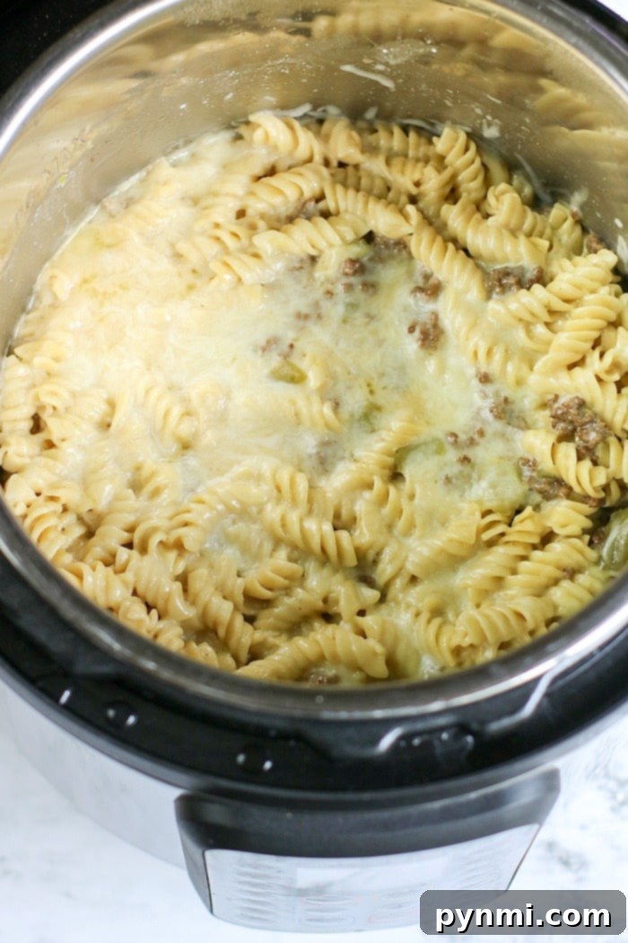 Instant Pot ground beef and noodles casserole