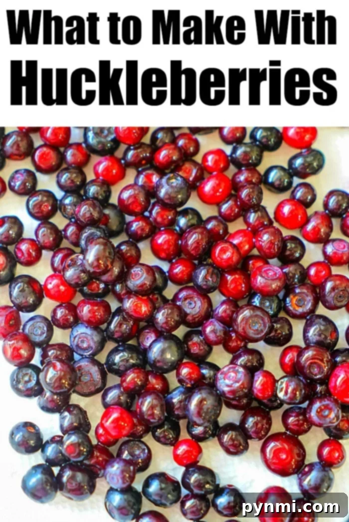 Huckleberry Delights 6 A bowl overflowing with fresh huckleberries, showcasing what to make with huckleberries for various delightful huckleberry recipes.