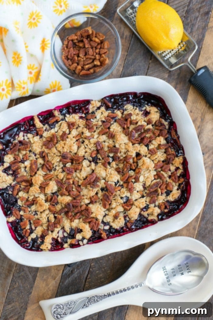 Huckleberry Delights 7 A serving of warm Huckleberry Cobbler in a bowl, showcasing one of the best huckleberry recipes for a comforting dessert.